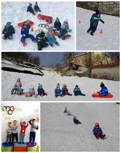 Olimpijski zimski športni dan